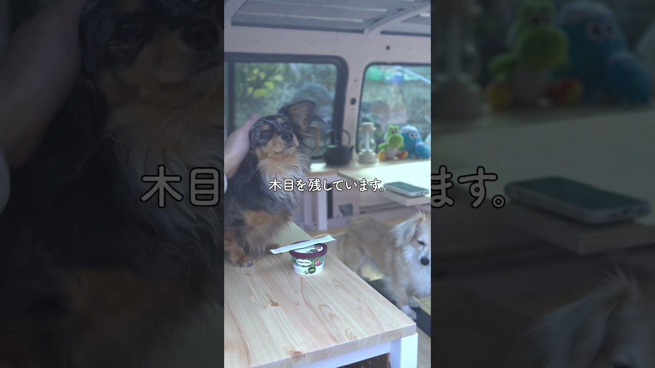 【塗装完成】22万円の中古バンをDIYして、妻と愛犬と全国を巡る！32歳 #車中泊