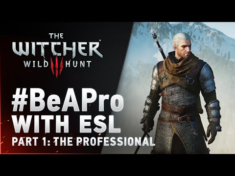 #BeAPro with ESL Part 1: The Professional