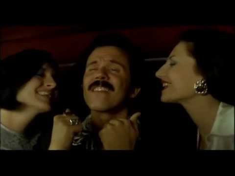 Black cat, white cat (Crna macka, beli macor) - Pitbull