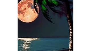 Download lagu Literasi 1 Menit ~ BERDOALAH mp3 Download lagu Literasi 1 Menit ~ BERDOALAH mp3
