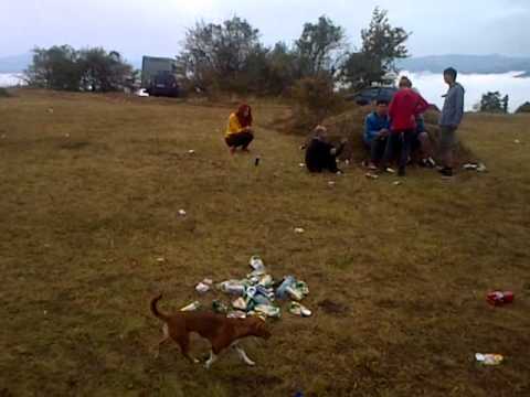 Teknival 2013 - Carbunari