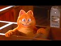 Garfield Bagunça A Casa Do John Garfield O Filme 2004 DUBLADO HD