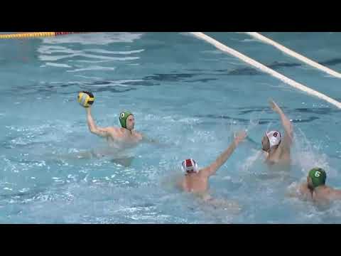 Olympiakos Piraeus vs Ferencvaros - Highlights - Champion's League 2021/2022 Day 12