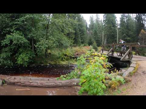 Stempelstelle 217 Sonnenkappe Oderteich - Harzer Wandernadel