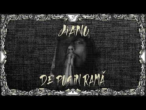 JIANU - Rondul de Noapte 🎧 Audio