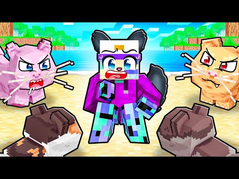ONE DOG on a CATS ONLY island!