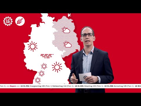 Die LG Ertragsprognose meldet gute Aussichten für den Mais