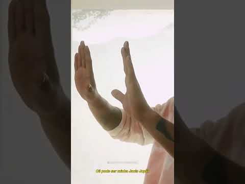 Cortesia Da Casa - Xamã