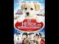 12 Hunde Zum Weihnachtsfest 12 Dogs For Christmas Trailer