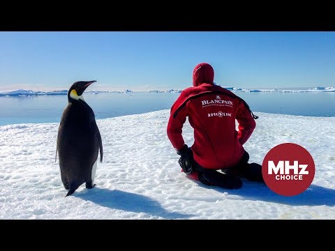 First Look: Antarctica