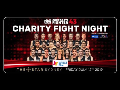 Corporate Fighter 43