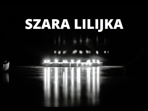 Piosenka Harcerska - Szara Lilijka