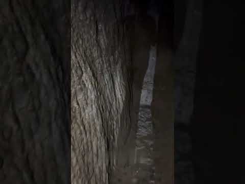The secret tunnels inside kailasa temple Ellora caves