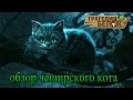 Трагедия Белок: обзор : Чеширского кота 