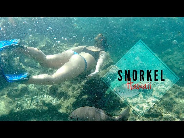 Snorkeling Hawaii - North Shore Beauty Underwater