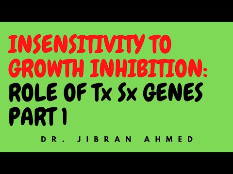 NEOPLASIA II PART 1 II CHAPTER 7 II ROBBINS 10TH EDITION II PATHOLOGY LECTURES II