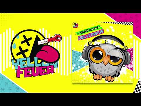 Polycarpus - Young Birds