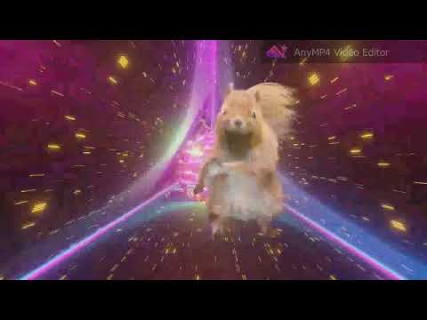 coxy - bunter Salat (Set2020)