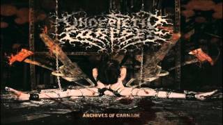 UNDER FETID CORPSES - Archives Of Carnage EP 2015