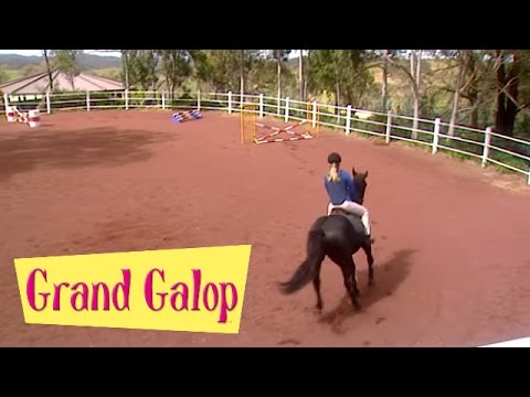 Grand Galop 213 - Mauvais jour pour Stéphanie | HD | Épisode Complet