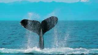 lights and shades (ext.mix)--fra lippo lippi