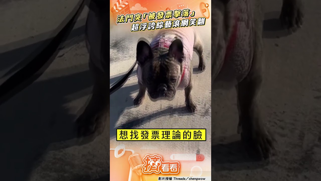 影音/法鬥散步「被發票擊落」! 浮誇「綜藝滾」網:會中大獎