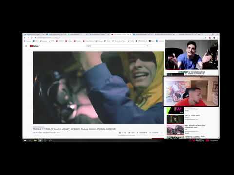 Coscu REACCIONA a TRUENO X C TERRIBLE X SHAOLIN MONKEY  MY DOG IS