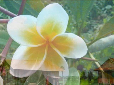 "OUN PAONG CHER GOE VEASNA" by Ros Sereysothea-1968