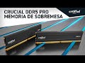 Crucial Pro DDR5 5600 MHz 32 GB CL46 video
