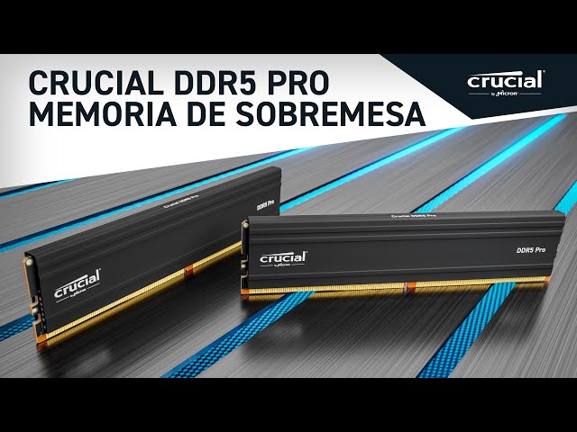 Crucial Pro DDR5 5 600 MHz 32 Go CL46 video