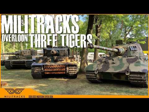 Panzer Picture and Track Links 360