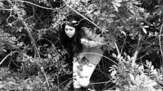 The Dreamer&#39;s Journey