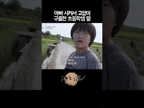 아빠 시켜서 고양이 구출한 초등학생 딸