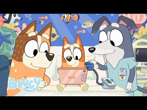 Der weise alte Wolfshund 🐺 | Bluey - Deutsch Offizieller Kanal