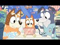 Der Weise Alte Wolfshund Bluey Deutsch Offizieller Kanal