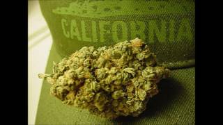 Dilla - Detroit madness