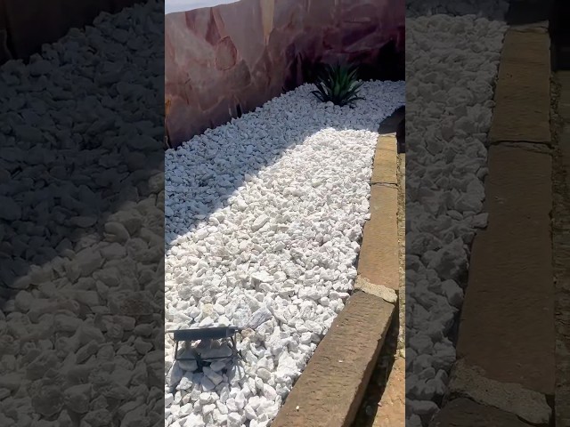 Vídeo relacionado con Piedras decorativas 900g Piedras decorativas blancas, piedras decorativas para jarrones, piedras ornamentales pequeñas, piedras decorativas para maceta, acuario, suculentas, paisajismo, casa y