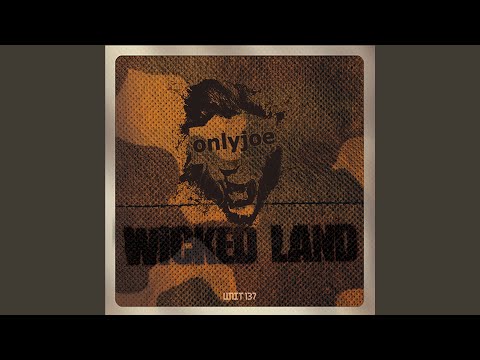 Wicked Land (Radikal Guru Remix)