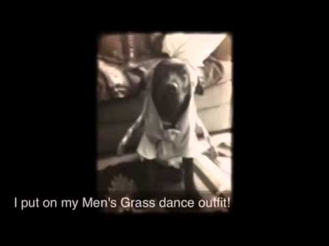 Cat & Pup reminiscing about the Powwow