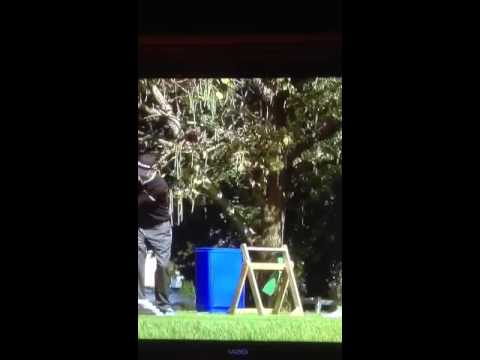 Haney Projects w/Phelps