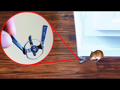 Trapping with the World’s Smallest Traps