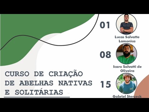 Curso Básico de Criação de abelha sem ferrão 01/04