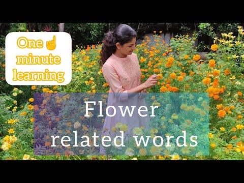🌼Flower related words / Adjective words for flower and garden🌼 one minute learning