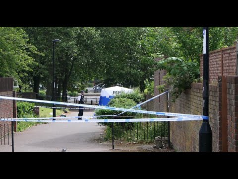 ✅  Sydenham live: Murder investigation launched after 19-year-old stabbed to death