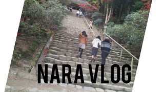 preview picture of video 'Japon aile ile  Nara gezi vlog / Nara trip vlog with Japanese family'