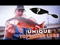 Topwater Bass Fishing Brackish Water Ft AnglerUp With Brant