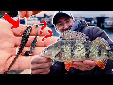 CHEBU-Tricks für WINTER-Barsche!