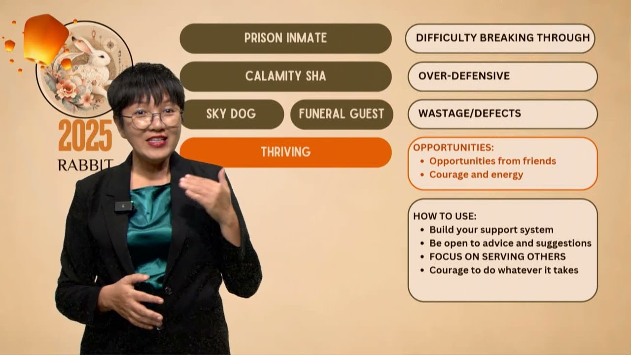 2025 CHINESE ZODIAC | RABBIT: With a little help from my friends