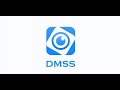 DMSS Setup Guide