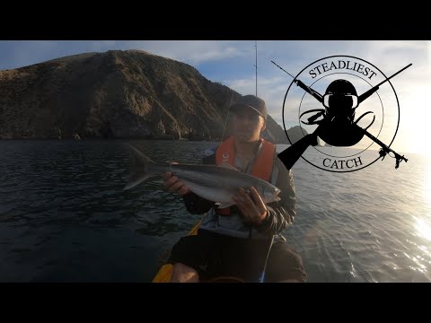 Pepin Island 12km KAYAK MISSION | Kahawai Catch n Cook | FISHING NEW ZEALAND | Steadliest Catch Ep.1